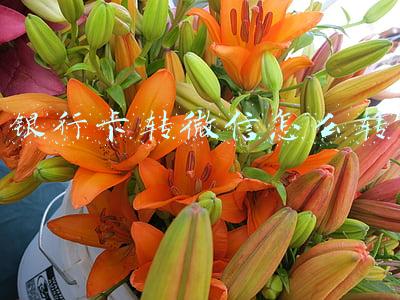 银行卡转微信怎么转