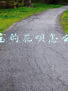 支付宝花呗可以关闭吗(支付宝怎么停用花呗 花呗关闭了还能重新开通吗)