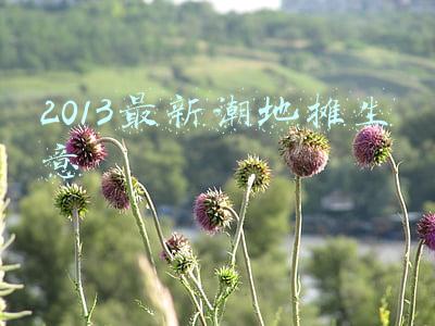 2013最新潮地摊生意