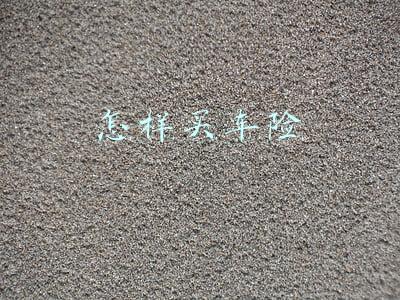 怎样买车险