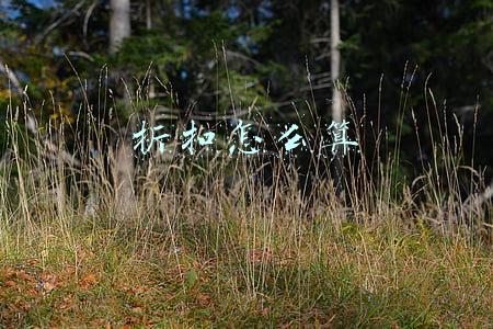 折扣怎么算