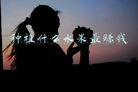 种植什么水果最赚钱
