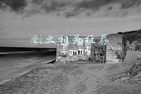 创业相关推荐