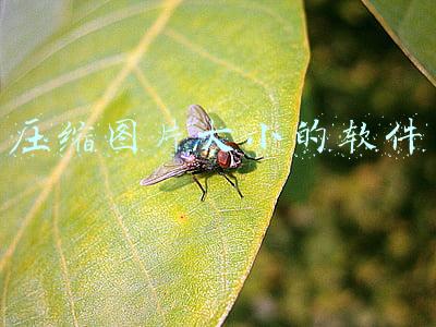 压缩图片大小的软件