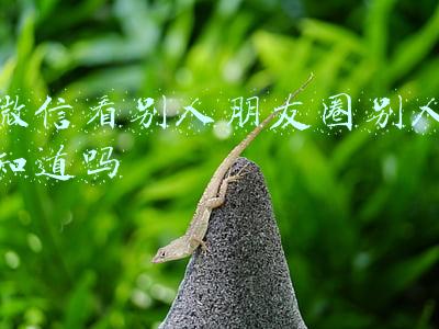微信看别人朋友圈别人知道吗