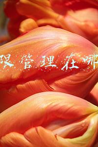 权限管理在哪里