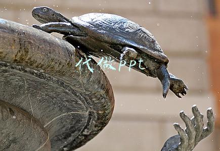 代做ppt