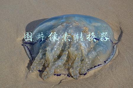 图片像素转换器
