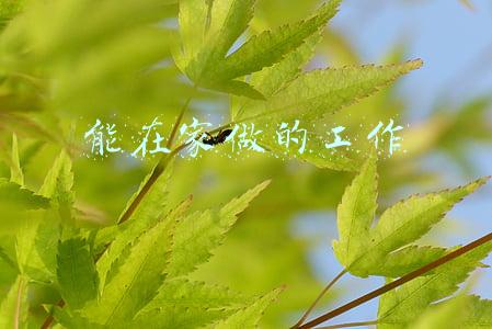 能在家做的工作