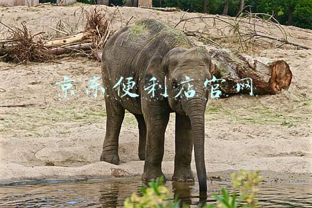 京东便利店官网