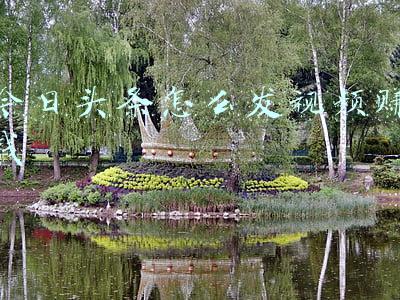 今日头条怎么发视频赚钱