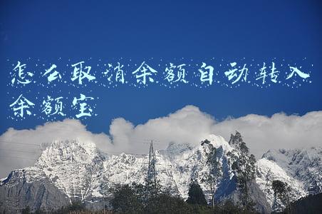 怎么取消余额自动转入余额宝