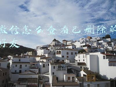 微信怎么查看已删除的好友