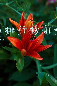 护肤品排行榜前十名适合25岁