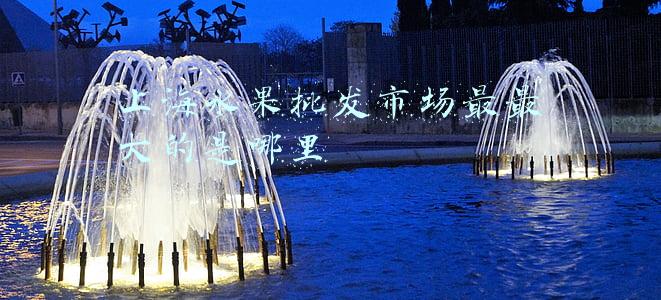 上海水果批发市场最最大的是哪里