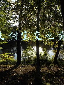 支付宝交电费