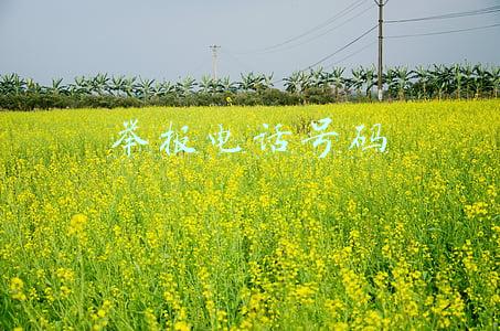 举报电话号码