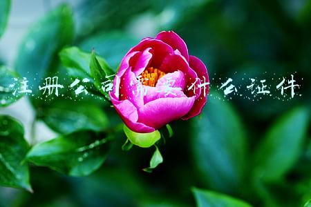 注册公司需要准备什么(成立公司前需要做哪些准备工作)