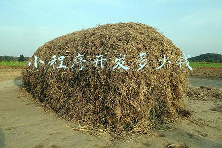 小程序开发多少钱
