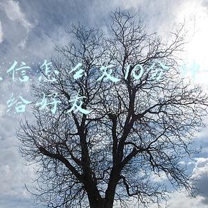 微信怎么发10分钟视频给好友