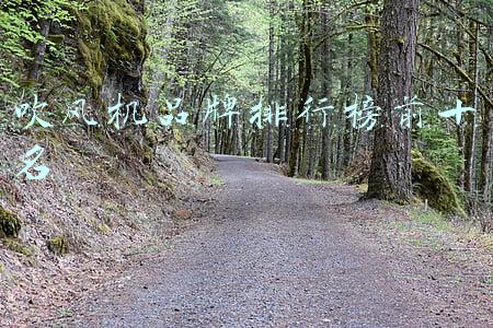 吹风机品牌排行榜前十名