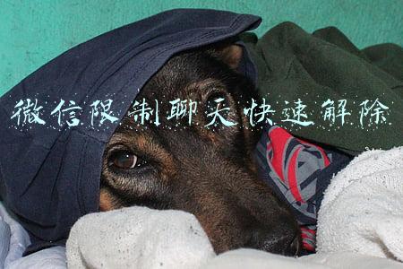 微信限制聊天快速解除