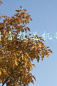 抖音推送机制解析(关于抖音视频的推送分流算法机制)