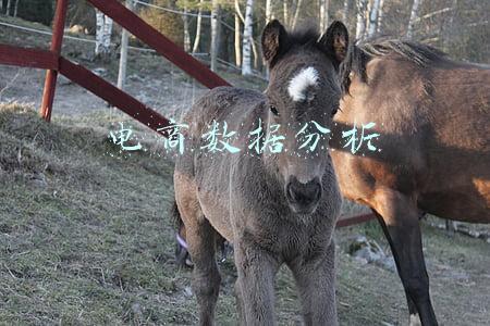 电商数据分析