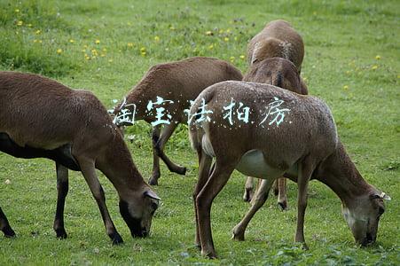 淘宝法拍房需要注意什么(想要捡漏法拍房？清场难、税费高，请注意这些风险)