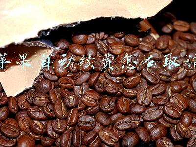 苹果自动续费怎么取消