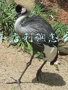 洗车店赚钱吗(开这样一家洗车店能赚钱吗？我感觉靠谱)