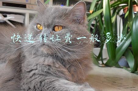 乡镇快递转让费一般多少(镇上的快递店转让费25万，每天派送五六百件，能接手吗？)
