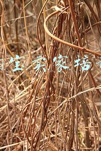 淘宝卖家培训