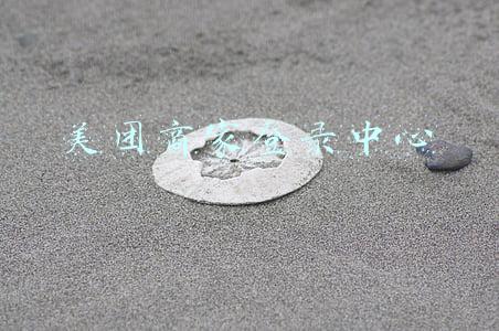 美团商家登录中心下载(外卖平台上线新冠抗原检测产品，1人份自测盒售价约为30元)