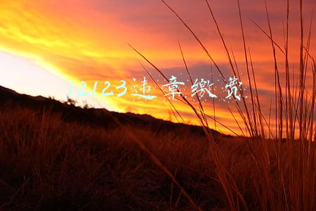 12123违章缴费