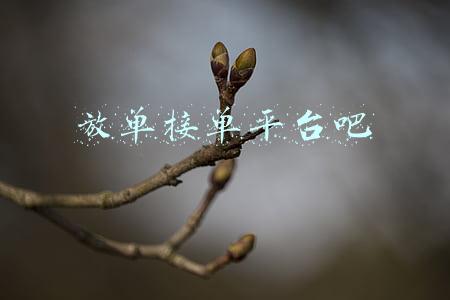 放单接单平台吧