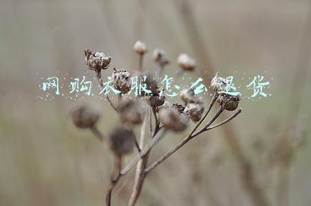 网购衣服怎么退货