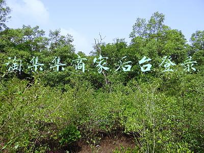淘集集商家后台登录