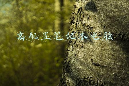 高配置笔记本电脑