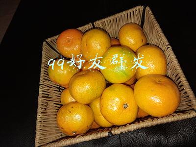 qq好友群发消息怎么发(何凌霄：我的志愿是一种生活)