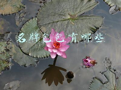 名牌包包有哪些