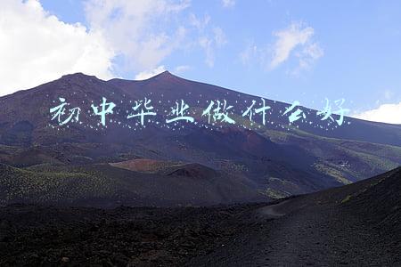 初中毕业做什么好