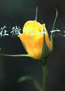 怎么在微信上一天赚50块钱