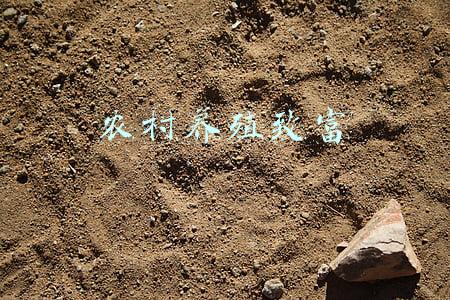 农村养殖致富