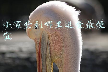 小百货到哪里进货最便宜
