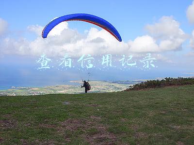 查看信用记录