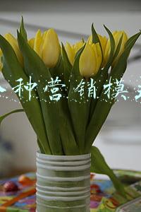 八种营销模式