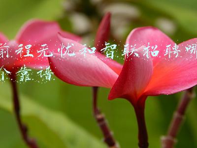 前程无忧招聘可靠吗(真的，我不建议你去保险公司上班)