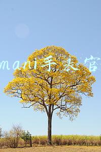 armani手表官网
