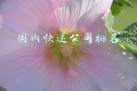国内快递公司排名